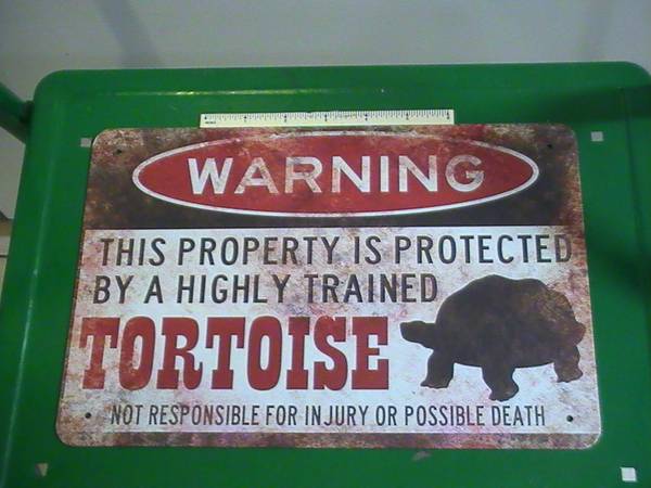 Chuck's Turtle Collectibles (39) 1