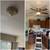 ‏Expert Handyman – Plumber · Electrician · Painter · Drywall · Carpentry 2 thumbnail