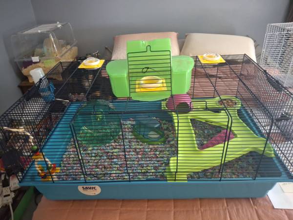Barely used Cage$100.00 (Pensacola)63836590664067122