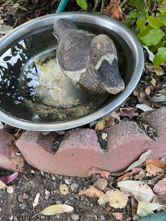Vintage Wood Duck Decoy 1