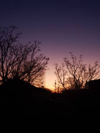 ISO free dog in need of a home 1