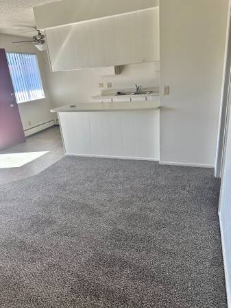 $1,070 / 1br - 515ft2 - Palace Apartments ! (Reno)63682255489667124