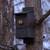 Owl boxes 9 thumbnail