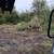 Brush Clearing Services 12 thumbnail