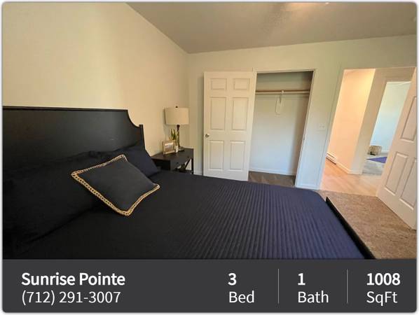 $1,050 / 3br - 1008ft2 - Purrfect home for you & your pet! 3 BR / 1 BA in Storm Lake. (Storm Lake)63849486421763120