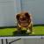 Smokey bear newshade rojo n tan big rope fluffy 2 thumbnail