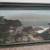 Lone Cypress Pebble Beach PANORAMIC 32.5" California Vtg Tinted Photo 12 thumbnail