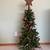 Like New Lighted 4 Foot Christmas Tree Never Used 1 thumbnail