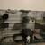 Kittens ,kit cats & cats 2 thumbnail