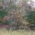 0.4 Acres Near Izard County Golf – Act Fast! 2 thumbnail