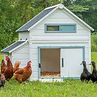 Chicken coop 1