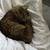 Cat 2 thumbnail