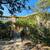 OFF MARKET ~ HELOTES TX 2 thumbnail