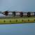 12 kt gold filled scarab bracelet VINTAGE 9 thumbnail