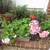 Garden plants and window boxes 6 thumbnail