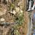 Paving contractor service & pour concrete install 9 thumbnail