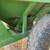 Ez Trailer Grain Cart 5 thumbnail
