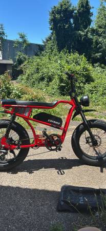Panthro ebike 1