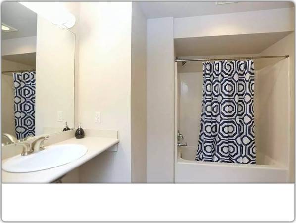 $900 / 3br - 333ft2 - Great 3 bed / 1.5 bath! We Love Pets! Ask about our Pet Policy (Bellingham)63509650316289121