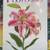 NEW Gardener's Gifts Book + Flower Book& 6 Magazines-Total $5 5 thumbnail