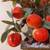 Vintage stone peach tree heavy 6 thumbnail