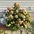 ⭐️Little Lime Hydrangea 3Gal 3 thumbnail