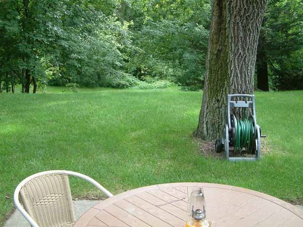 $495 / 4br - Casa tranquila, vecinos frente a una reserva forestal de 60 acres (Waukegan)63736193322881124