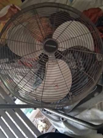 Fan 1