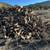 Firewood 1 thumbnail