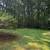 Yard Cleanup Needed 8 thumbnail