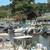 95 Aquasport 245 Explorer 250 Yamaha  4 stroke 14 thumbnail