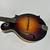 Pava Satin F5 Mandolin - Made in Austin! 2 thumbnail