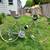 Vintage Schwinn Sprint 2 thumbnail