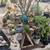 Multi Family plant sale (Livermore) 4 thumbnail