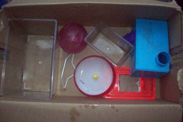 misc small pet stuff hamster 1