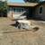 Carrillo's Stump Grinding**same day service available. 9 thumbnail