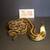 Ball pythons downsizing 1 thumbnail