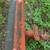 7' BOOM POLE LIFT ... 3 PT HITCH TRACTOR IMPLEMENT 16 thumbnail