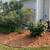Yardwork or PRUNING!! 1 thumbnail