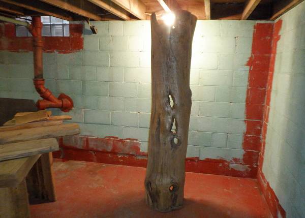 6'+  Hollowed Out CEDAR Log 1