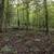 17 acres backs to State Park in Hillsboro, MO 4 thumbnail