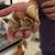 Frizzel chicke 1 thumbnail