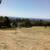 Chipping, stump grinding, defensible space clearing, firewood splitting, trimmin 10 thumbnail