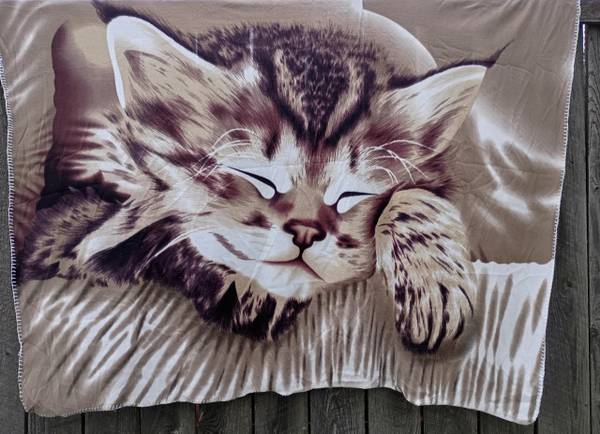 SLEEPING KITTEN 60” x 50” LIGHTWEIGHT SOFT FLEECE THROW BLANKET 1