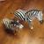 Zebras Ceramic Leather Ceramic Wood 11 thumbnail