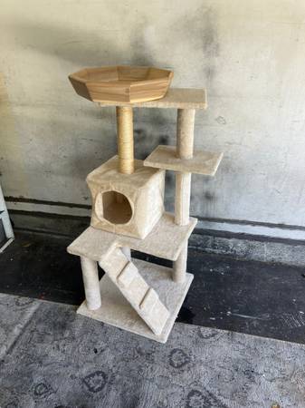 Like New Cat Tree (11-11) 1