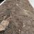 Arroyo grande Landscaping 2 thumbnail