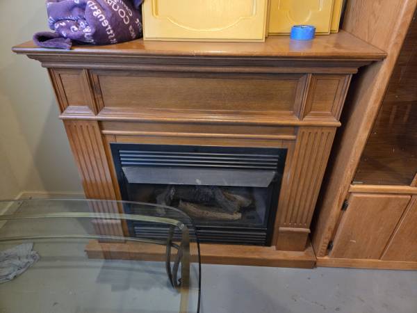 Gas Fireplace 1