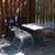 1 bedroom furnished apartment--short-term rental possible 7 thumbnail