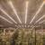 Grow lights 4 thumbnail